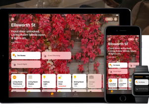 苹果智能生态圈 iPhone之外的创新与体验